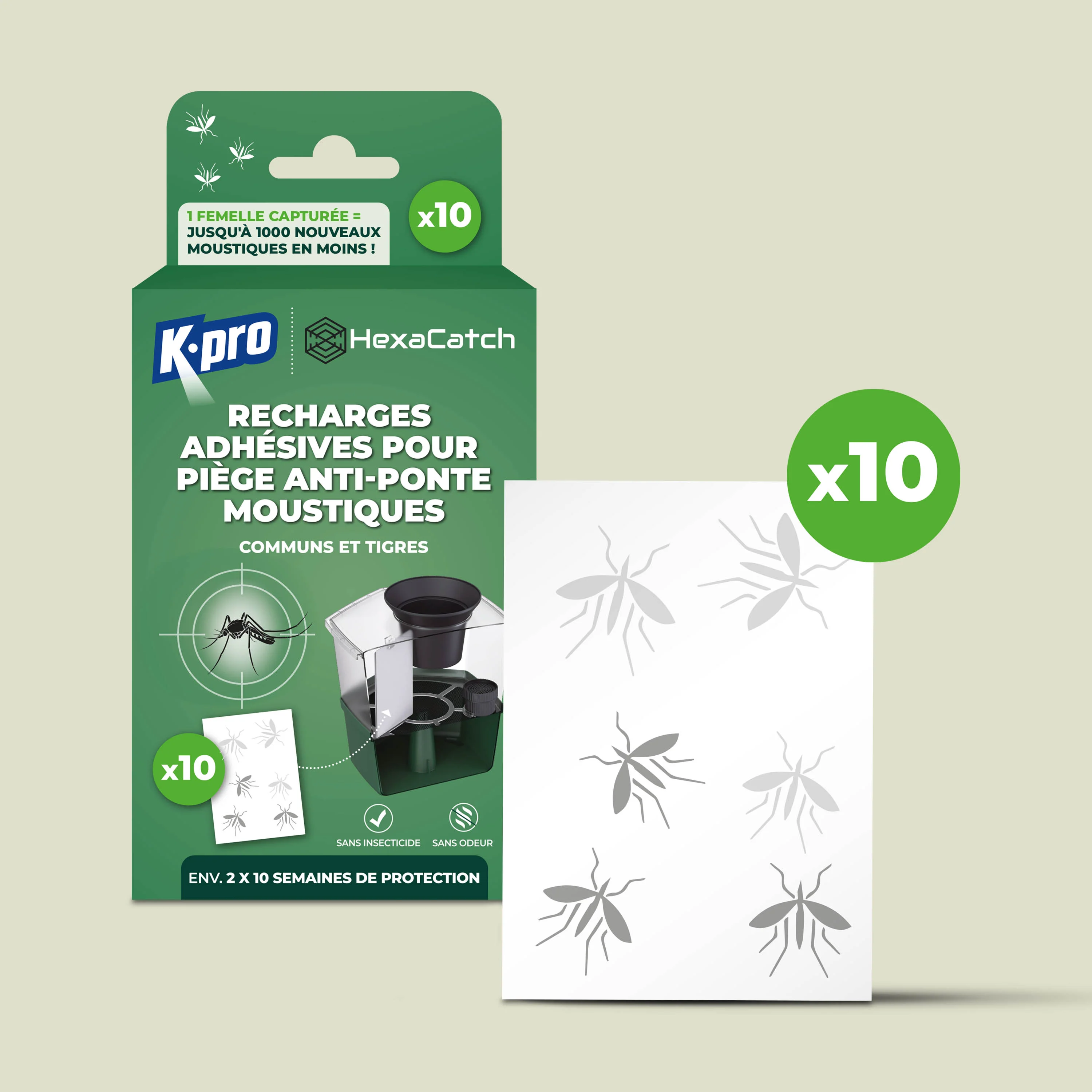Insectes & Nuisibles